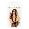 Бодистокинг с глубоким вырезом на спине Penthouse - Forbidden Fruit Black S/L photo 3